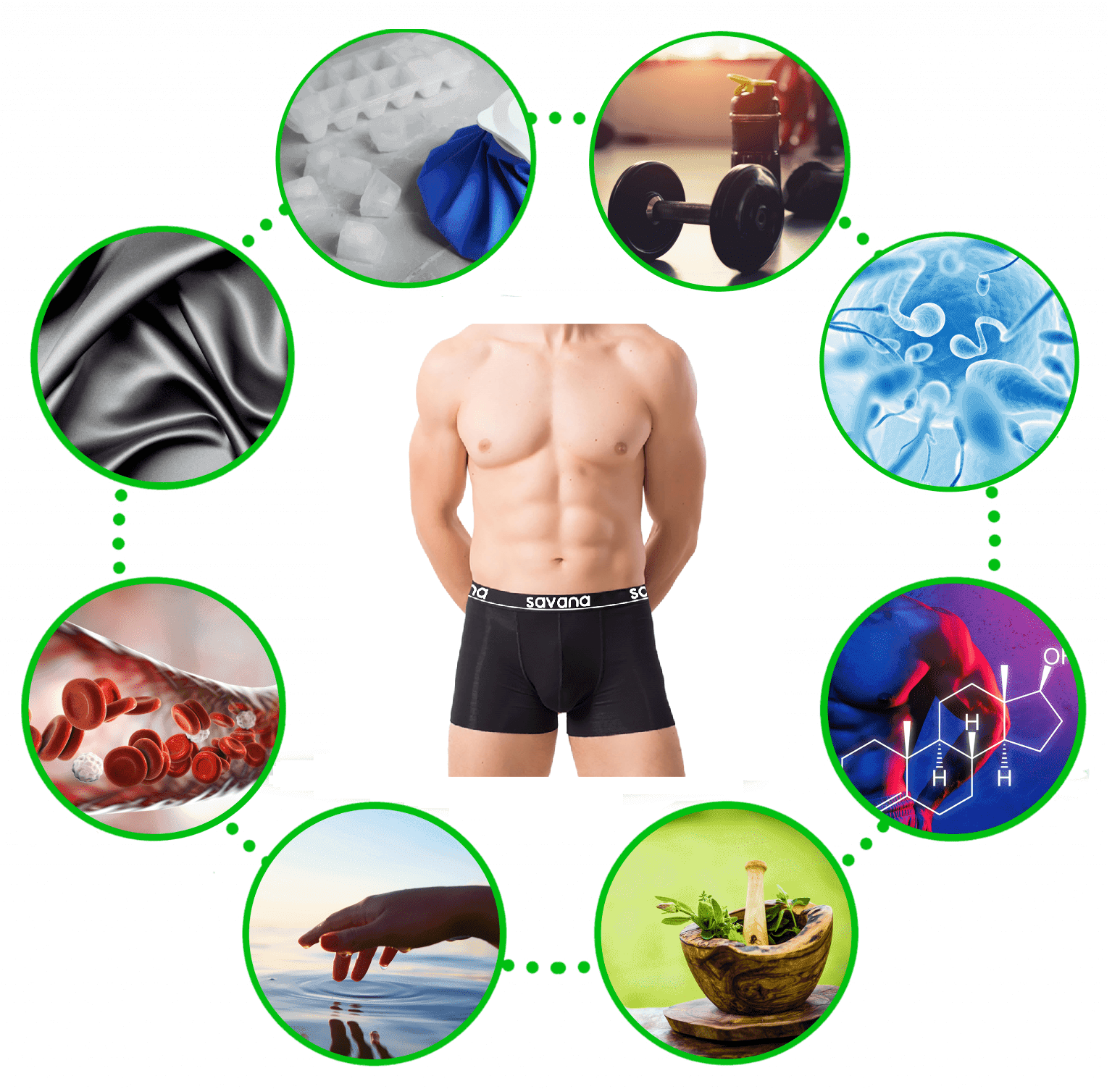 savana-underwear-infographic-2023-M08-Middle-Body